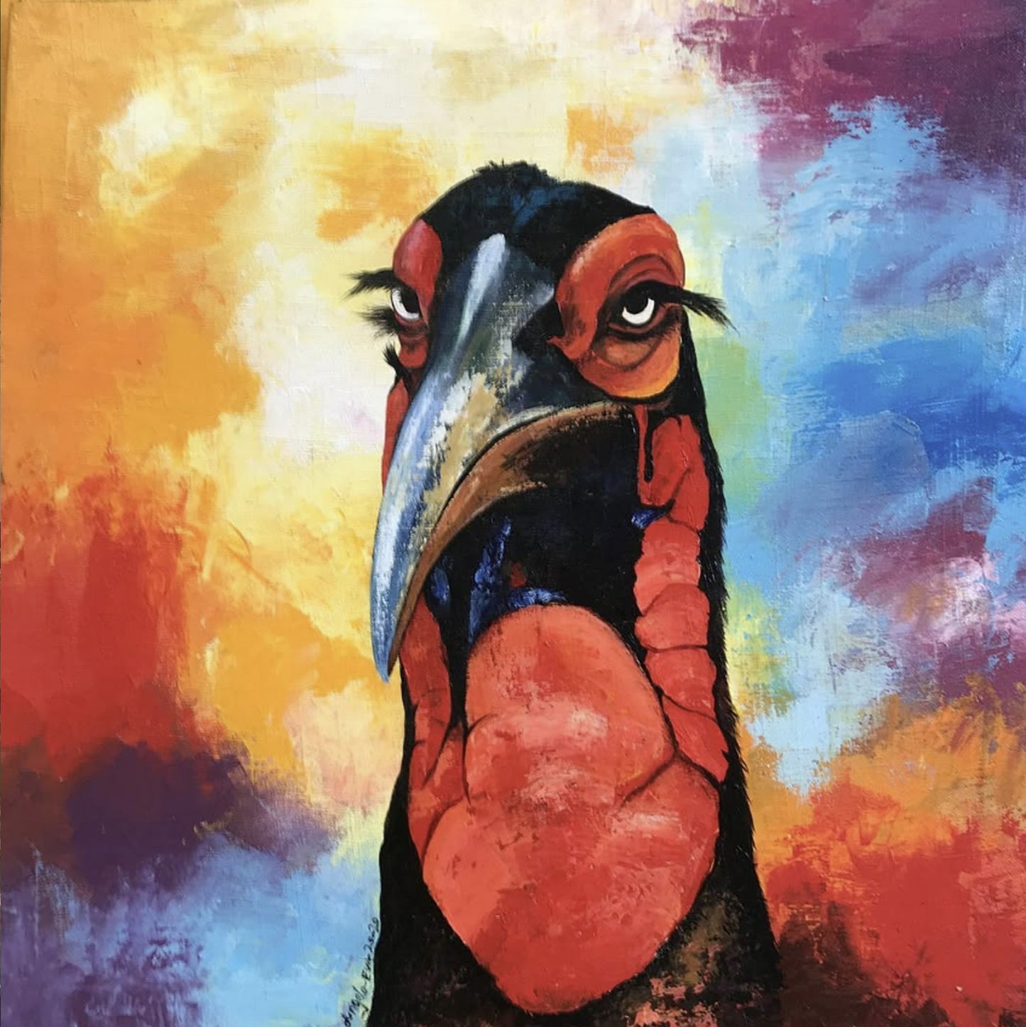 Abyssinian Ground-Hornbill