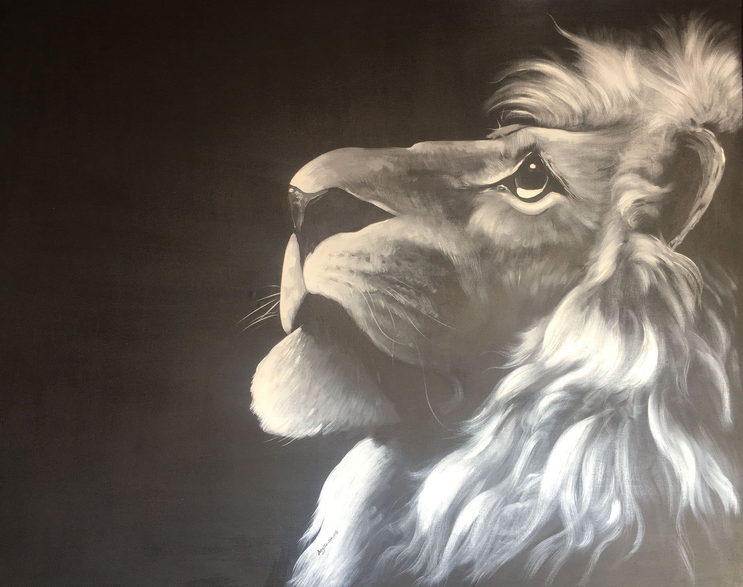 Lion black & white