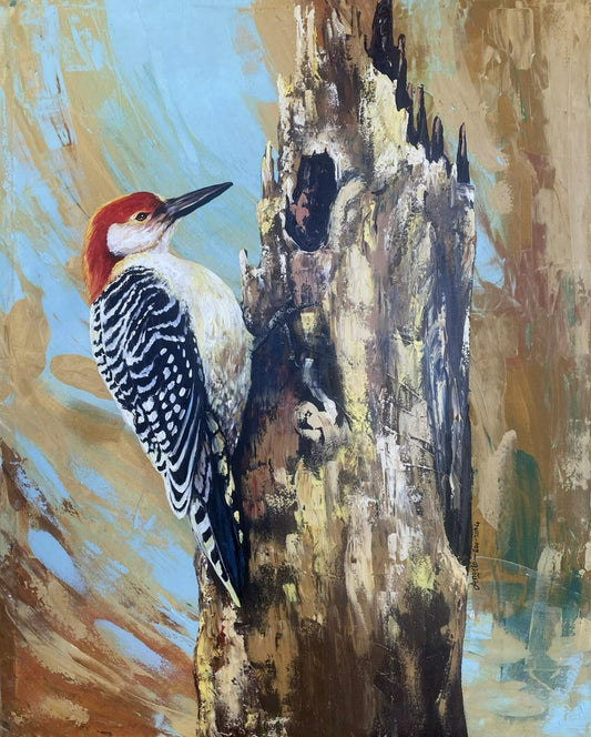 Woodpecker